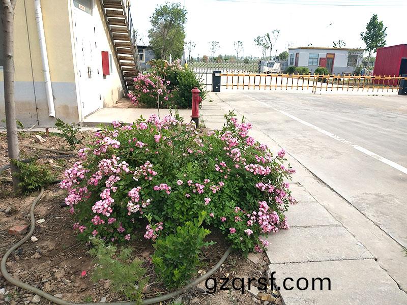 廠(chang)景(jing)圖